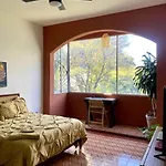 Artist Loft & Greenhouse Oasis - Condesa