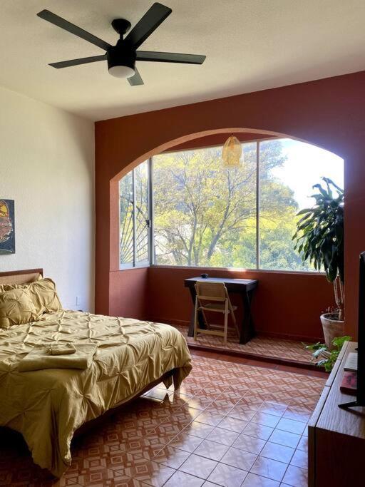 Artist Loft & Greenhouse Oasis - Condesa Mexico City
