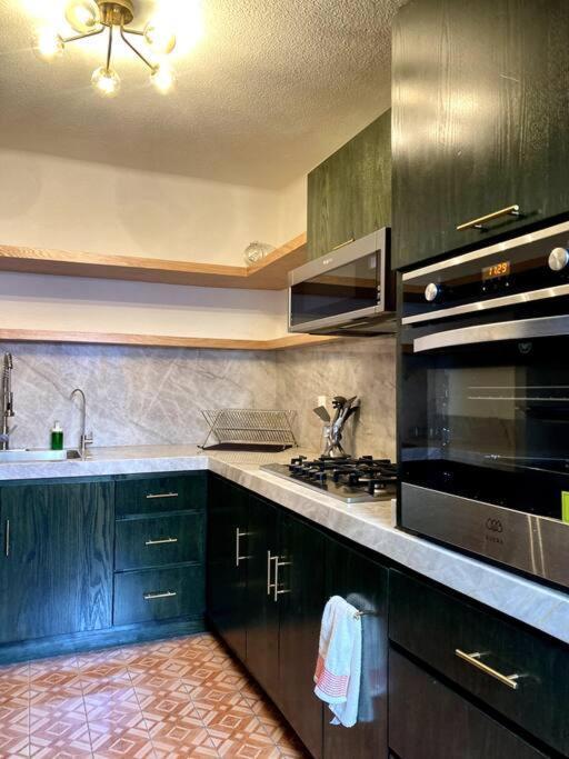 Artist Loft & Greenhouse Oasis - Condesa Apartment